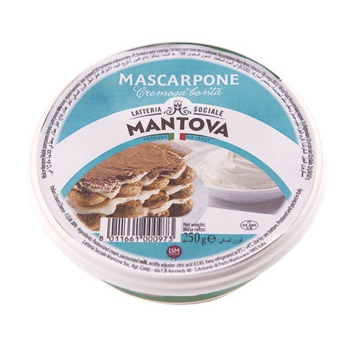 Latteria Sociale Mantova Mascarpone 16x250g